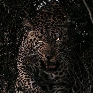 乡下老妇乱婬36集
